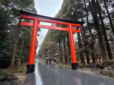 霧島神宮(鹿児島県)