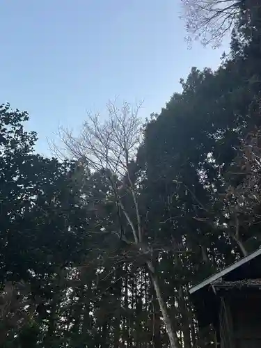 大宮温泉神社(栃木県)