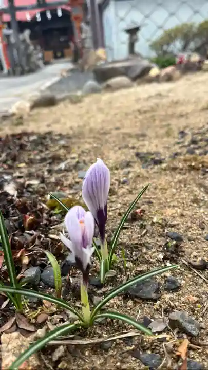 大鏑神社(福島県)