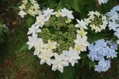 西樂寺(静岡県)