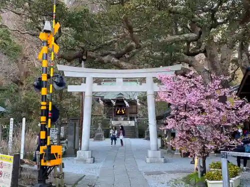 御霊神社の鳥居