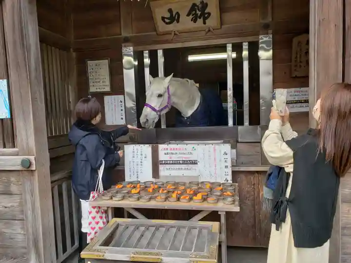 多度大社(三重県)