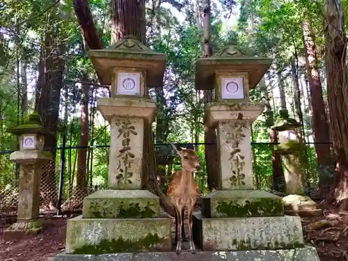 夫婦大國社（春日大社末社）のその他建物