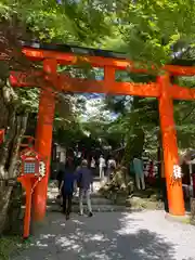 貴船神社(京都府)