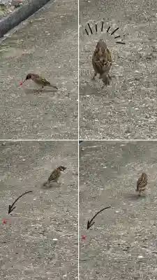 七重浜海津見神社(北海道)