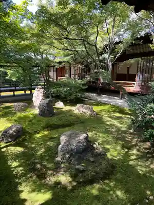 建仁寺（建仁禅寺）(京都府)