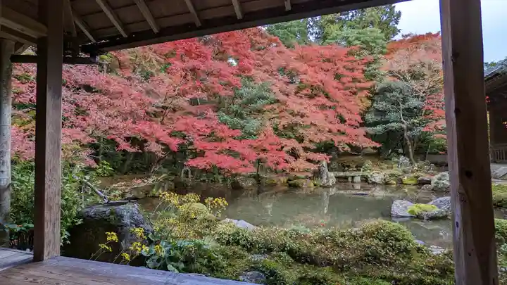 蓮華寺(洛北蓮華寺)(京都府)