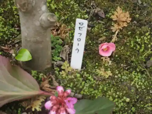 大巧寺(神奈川県)