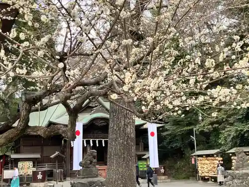 谷保天満宮(東京都)