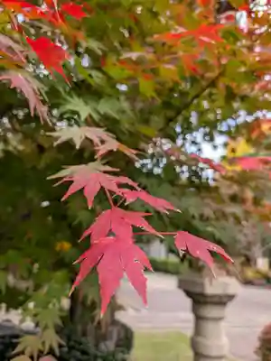 妙法寺(東京都)