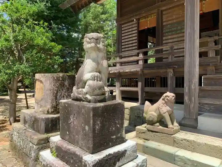 橘樹神社の狛犬