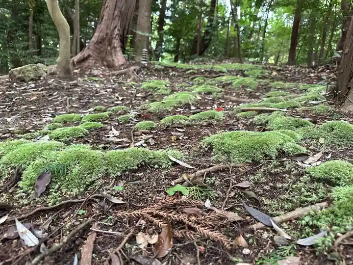 鎌田神明宮(静岡県)