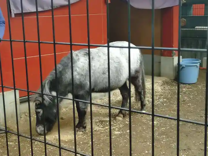 神田神社(神田明神)(東京都)