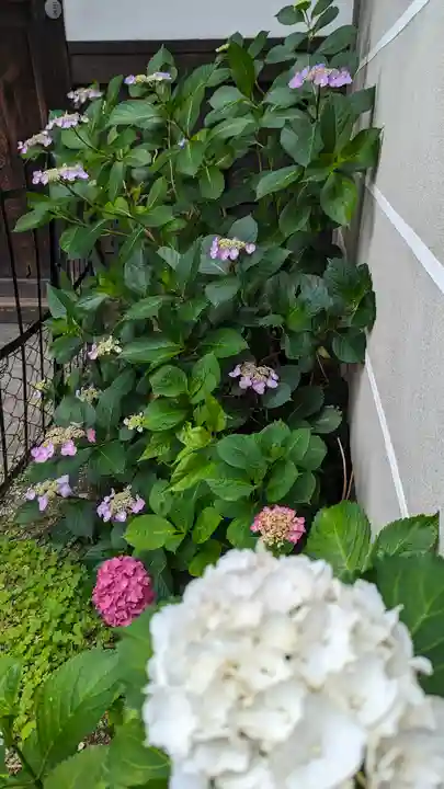 行願寺(革堂)(京都府)