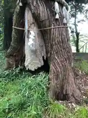 加賀神明宮(石川県)