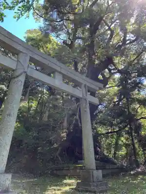 三上大明神(千葉県)