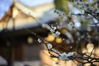 湯島天満宮(東京都)