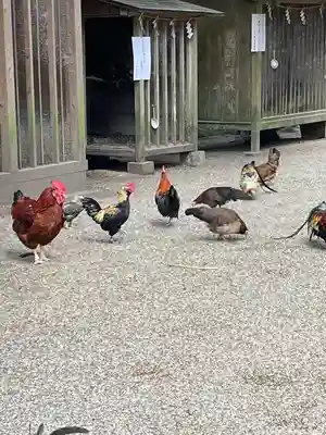 石上神宮(奈良県)