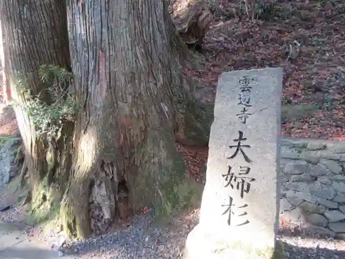 雲辺寺(徳島県)