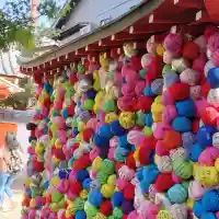 金剛寺(八坂庚申堂)の{uncategorized: "未分類", other: "その他", undefined: "問題あり", building: "その他建物", grave: "お墓", sacred_gate: "鳥居", guardian: "狛犬", statue: "像", buddha: "仏像", history: "歴史", nature: "自然", garden: "庭園", animal: "動物", pagoda: "塔", temizu: "手水舎", mountain_gate: "山門・神門", sanctuary: "本殿・本堂", subordinate: "末社・摂社", art: "芸術", scenery: "景色", jizo: "地蔵", ema: "絵馬", goshuin: "御朱印", omikuji: "おみくじ", items: "授与品その他", amulet: "お守り", goshuincho: "御朱印帳", eats: "食事", festival: "お祭り", votive_dance: "神楽", shichigosan: "七五三参", wedding: "結婚式", experience: "体験その他", initially: "初詣", around: "周辺", anti_infection: "感染症対策"}