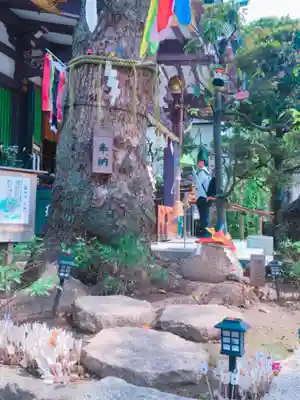 高木神社のその他建物
