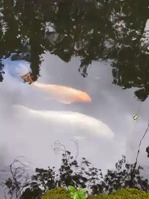 鹿嶋神社(福島県)