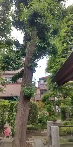 佐竹稲荷神社(東京都)