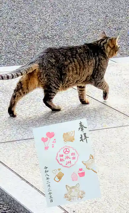 白金氷川神社の御朱印