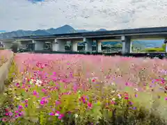 香積寺(愛媛県)