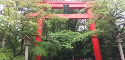 冠稲荷神社(群馬県)