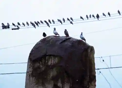三津厳島神社(愛媛県)