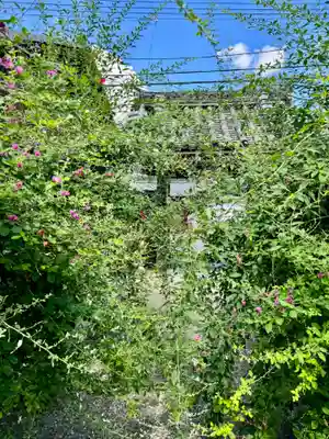 勝念寺（かましきさん）(京都府)