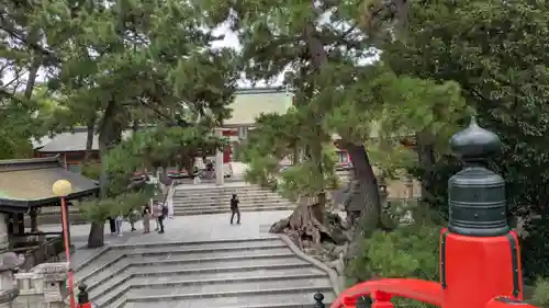 住吉大社の景色