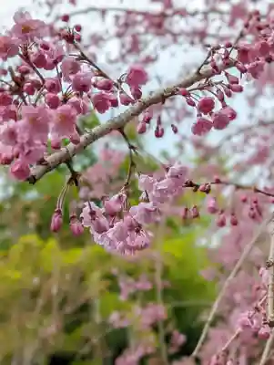 正法寺(京都府)