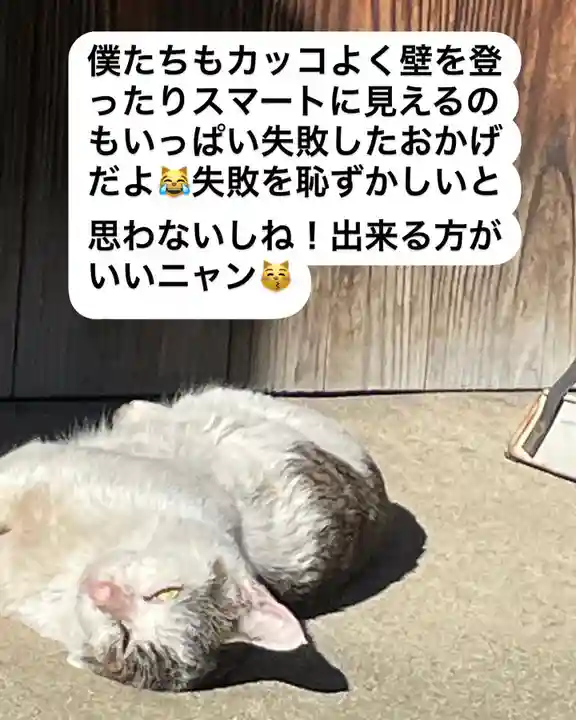 専念寺(大阪府)