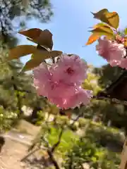 田村神社(香川県)