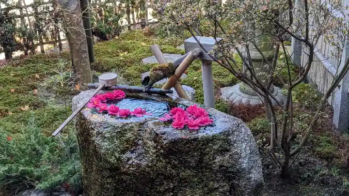 正寿院(京都府)