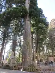 戸隠神社中社(長野県)