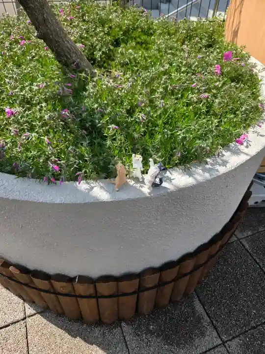 駒込妙義神社の{uncategorized: "未分類", other: "その他", undefined: "問題あり", building: "その他建物", grave: "お墓", sacred_gate: "鳥居", guardian: "狛犬", statue: "像", buddha: "仏像", history: "歴史", nature: "自然", garden: "庭園", animal: "動物", pagoda: "塔", temizu: "手水舎", mountain_gate: "山門・神門", sanctuary: "本殿・本堂", subordinate: "末社・摂社", art: "芸術", scenery: "景色", jizo: "地蔵", ema: "絵馬", goshuin: "御朱印", omikuji: "おみくじ", items: "授与品その他", amulet: "お守り", goshuincho: "御朱印帳", eats: "食事", festival: "お祭り", votive_dance: "神楽", shichigosan: "七五三参", wedding: "結婚式", experience: "体験その他", initially: "初詣", around: "周辺", anti_infection: "感染症対策"}