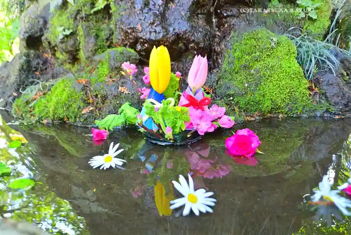 武蔵一宮氷川神社(埼玉県)
