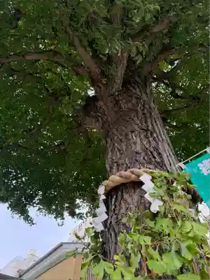 矢先稲荷神社(東京都)