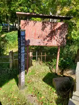 皆神神社(長野県)