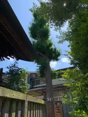 越谷香取神社(埼玉県)