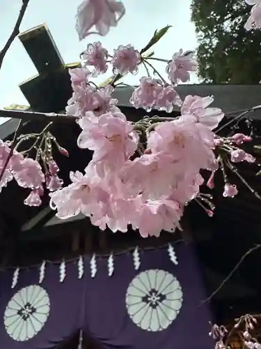 東京大神宮(東京都)