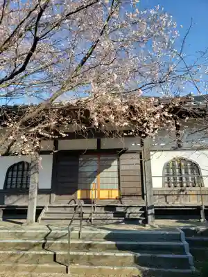 金剛寺の本殿・本堂