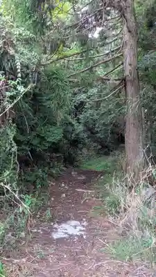 常楽院(廃寺?)(京都府)