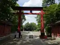 武蔵一宮氷川神社の鳥居