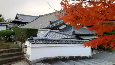 平等院の{uncategorized: "未分類", other: "その他", undefined: "問題あり", building: "その他建物", grave: "お墓", sacred_gate: "鳥居", guardian: "狛犬", statue: "像", buddha: "仏像", history: "歴史", nature: "自然", garden: "庭園", animal: "動物", pagoda: "塔", temizu: "手水舎", mountain_gate: "山門・神門", sanctuary: "本殿・本堂", subordinate: "末社・摂社", art: "芸術", scenery: "景色", jizo: "地蔵", ema: "絵馬", goshuin: "御朱印", omikuji: "おみくじ", items: "授与品その他", amulet: "お守り", goshuincho: "御朱印帳", eats: "食事", festival: "お祭り", votive_dance: "神楽", shichigosan: "七五三参", wedding: "結婚式", experience: "体験その他", initially: "初詣", around: "周辺", anti_infection: "感染症対策"}