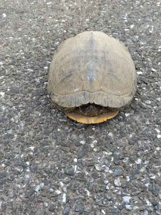 金龍院(千葉県)