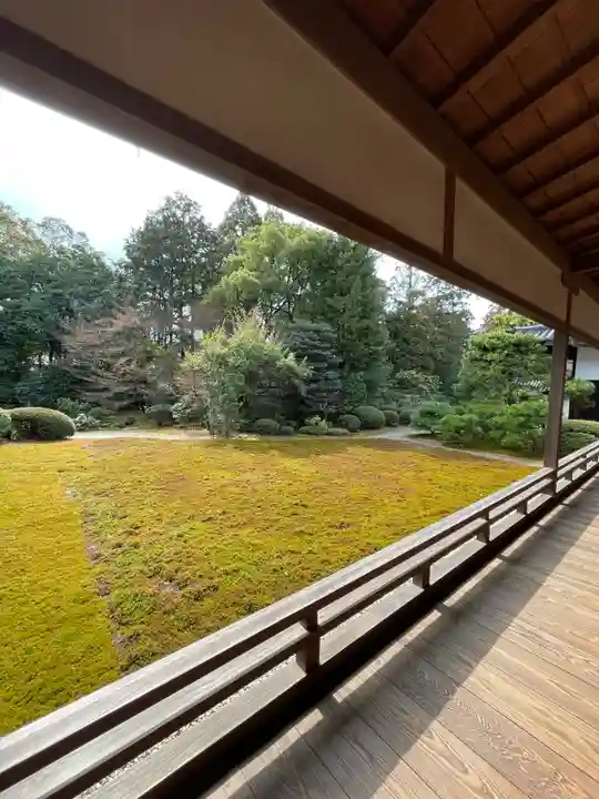 隨心院(随心院)(京都府)